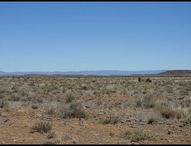2,363HA FARM FOR SALE IN MERWEVILLE